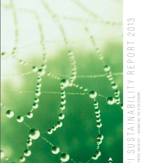 CEPI Sustainability report 2013