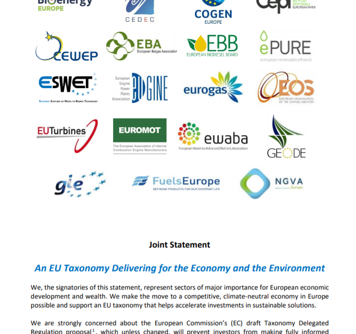 Joint Statement: An EU Taxonomy Delivering for the Economy and the Environment