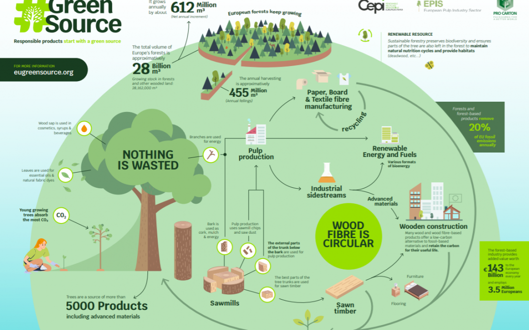 Infographic: Responsible products start with a green source