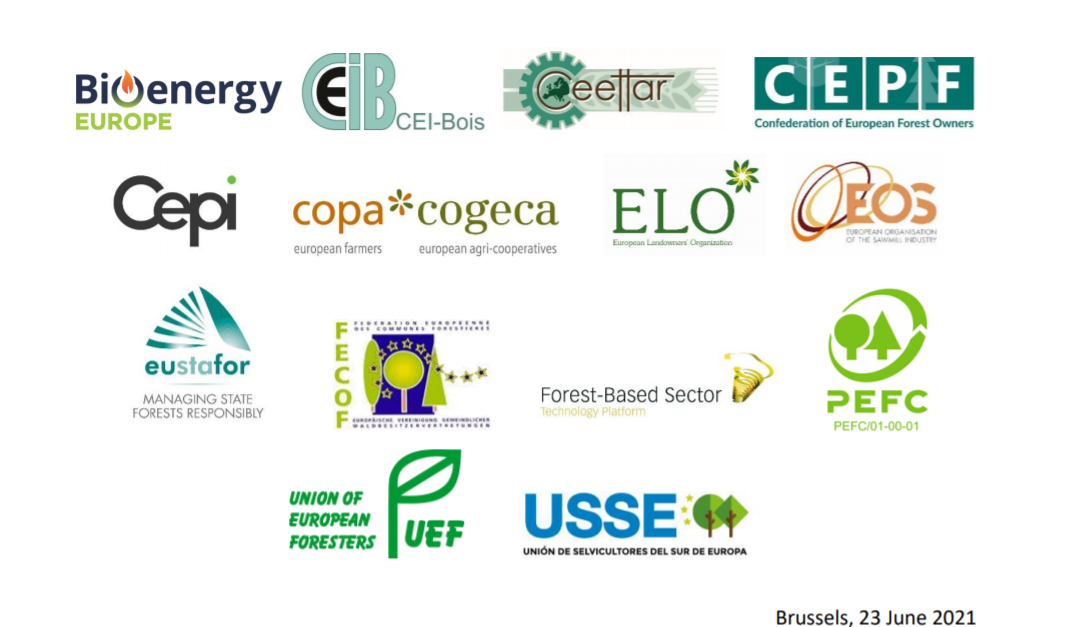 Joint statement on the EU Forest Strategy: time to really consider the opinion of EU forest and forest-based sector