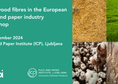 Workshop: Non-wood fibres in the European pulp and paper industry